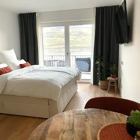 Apartamento Rhein Hideaway I Balkon Mit Direktem Rheinblick I Tg-stellplatz Inklusive